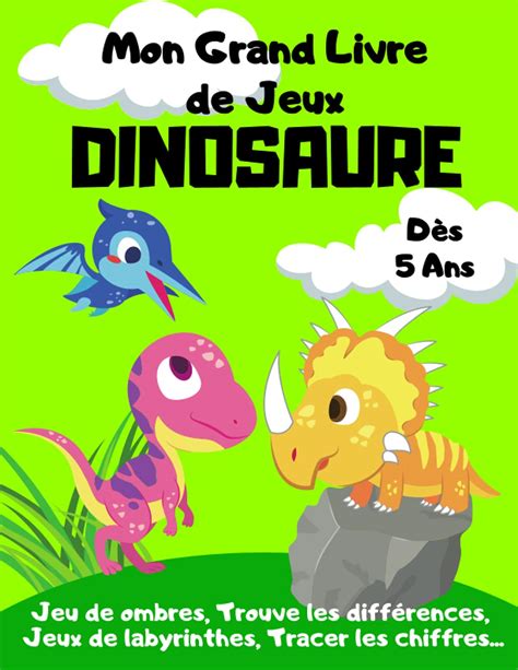 Buy Mon Grand Livre De Jeux Dinosaure De Ans Jeu De Ombres Trouve