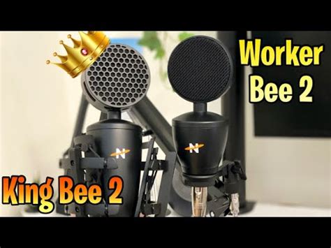 Neat King Bee II And Worker Bee II Microphone Review And Test YouTube