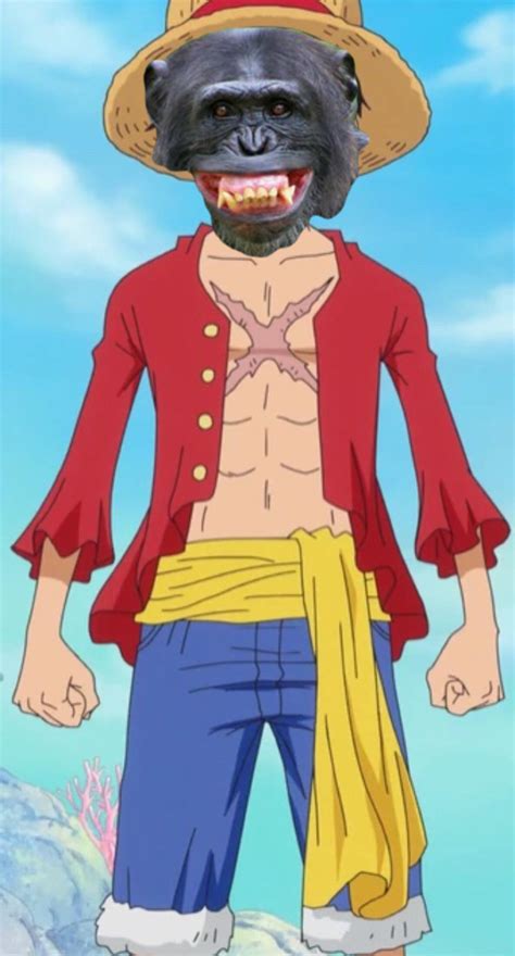 M O N K E D. Luffy : r/MemePiece