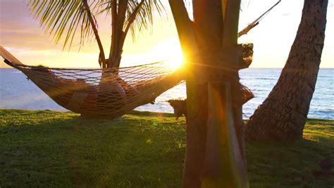 Romantic Couple Relaxing In Tropical Hammock At Sunset Summer Luxury