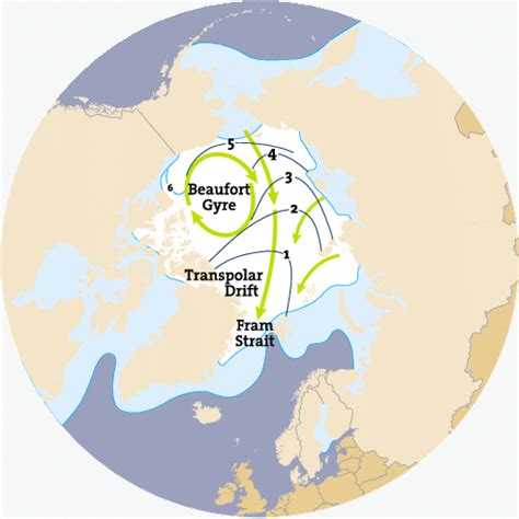 2.2. Arctic ocean currents. (Source: AMAP, Arctic Pollution 2002 ...