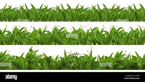 Sprouts Field Stock Vector Images Alamy