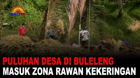 PULUHAN DESA DI BULELENG MASUK ZONA RAWAN KEKERINGAN YouTube