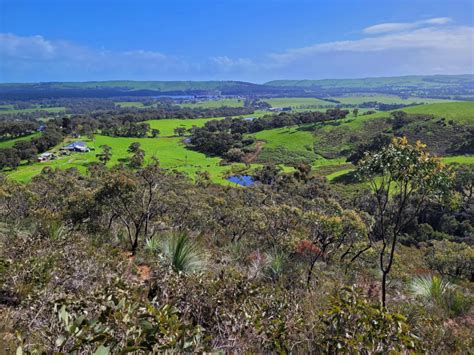 Bushwalk Australia View Topic Landscape September