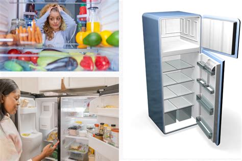 The Ultimate Guide To Toshiba Fridges Features Top Models And Real