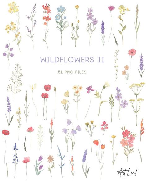 Watercolor Wildflowers Clipart Botanical Floral Wild Flowers Etsy