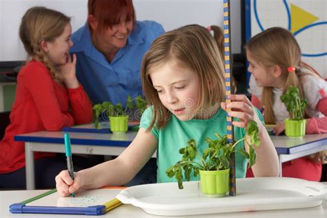 Girls Using Computers In Class With Teacher Stock Image Image Of Adult Confidence 22776211