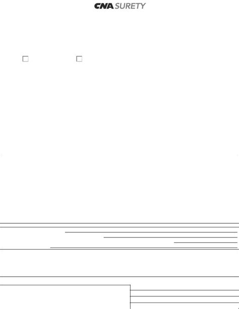 Cna Surety Financial Statement PDF Form FormsPal