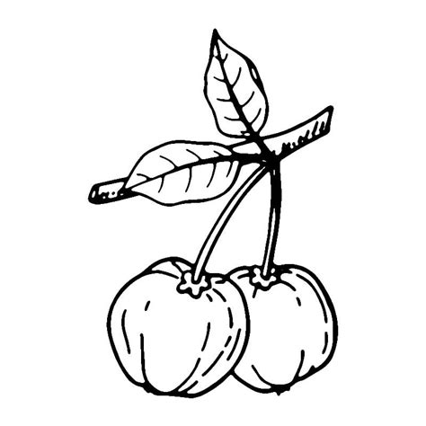 Desenhos De Acerola Fofa Para Colorir E Imprimir Colorironlinecom