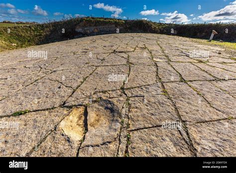 Dinosaur footprints at Keates Quarry on the Jurassic Coast near Langton ...