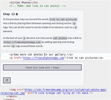 Learn Html By Building A Cat Photo App Step Html Css The