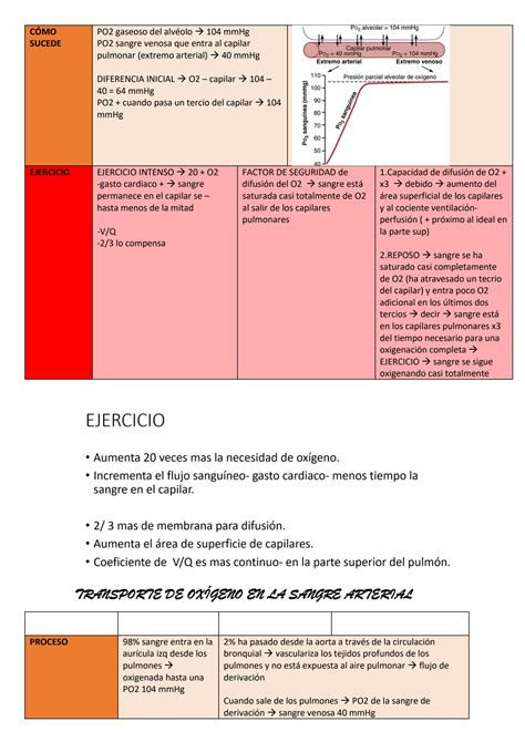 SOLUTION Resumen De Fisiolog A Seg N Guyton Sobre El Transporte De Ox