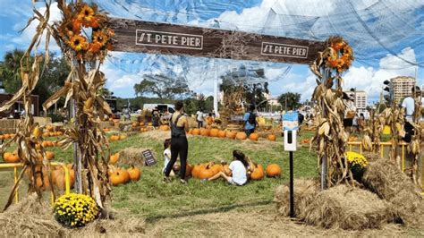 St. Pete's most scenic pumpkin patch enters its final days on the pier - I Love the Burg