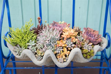 Tips For Planting Succulents In Containers Succulents And Sunshine