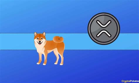 The Past 24 Hours For Ripple XRP Shiba Inu SHIB And More