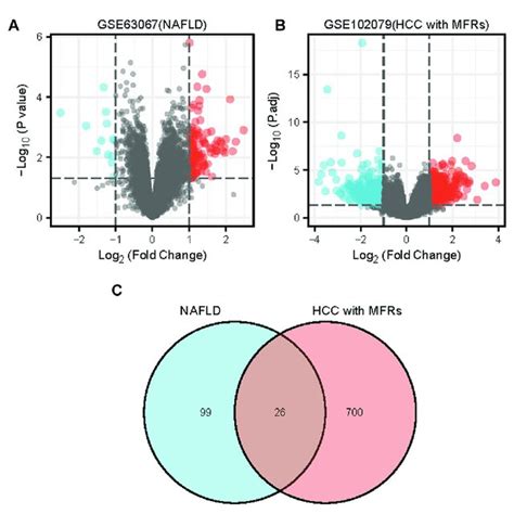 Differentially Expressed Genes Heatmaps A Heat Map Of Degs In