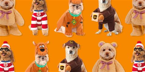 42 Funniest Dog Halloween Costumes 2021