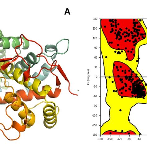 A 3D Crystal Structure Of Aromatase PDB ID 3EQM And B