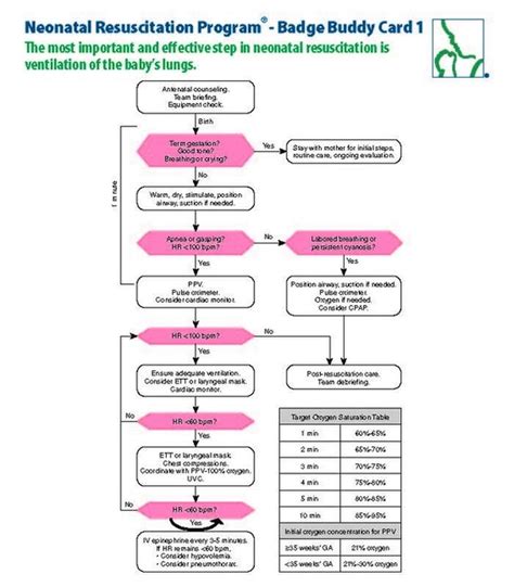 Neonatal Resuscitation Program® Wall Chart 8th Edition Aed 59 Off