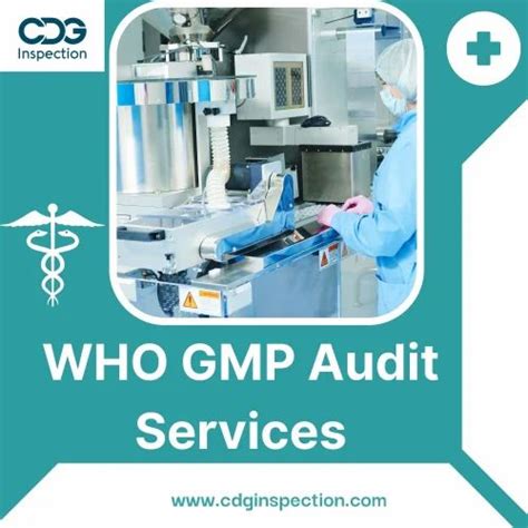 Who Gmp Audit Services In India At ₹ 45000 Certificate In New Delhi Id 2851945146933