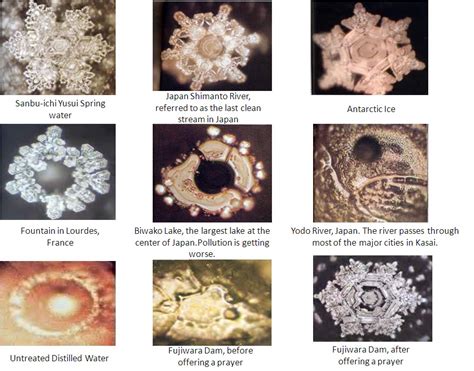 QUANTUM PENDANT: Miraculous Messages From Water by Dr Masaru Emoto