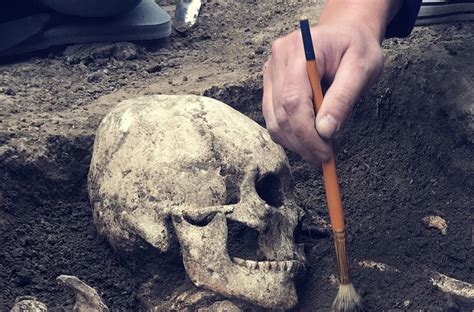 mystery   human skull   flathead lake