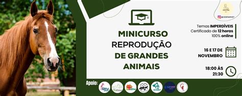 Minicurso Em Reprodu O De Grandes Animais