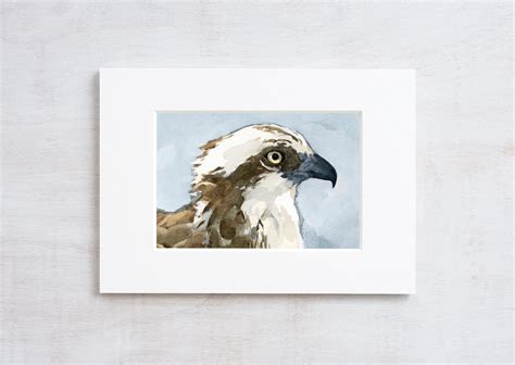 Osprey Watercolor Painting Print Coastal Bird Wall Art Print Etsy