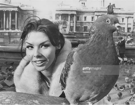 Actress Gloria Paul pictured inspecting a pigeon in Trafalgar Square ...