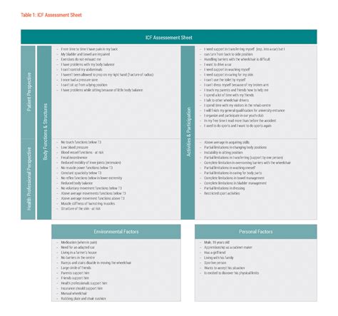 Icf Case Studies Assessment