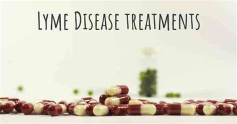 What Are The Best Treatments For Lyme Disease