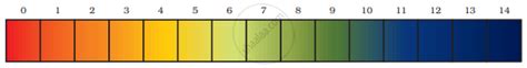 Equal Volumes Of Hydrochloric Acid And Sodium Hydroxide Solutions Of