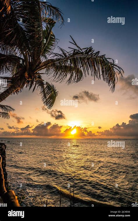 A View Of The Sea With Palm Trees Sunset On The Indian Ocean Nyali