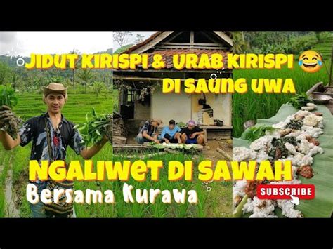 NGALIWET DI SAWAH SAMBIL NGUREK MAKAN URAB DAN NASI LIWET DI SAUNG