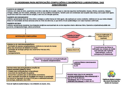 Fluxograma Do Manejo Clinico Da Dengue Enfermagem Conhe A A Divers O