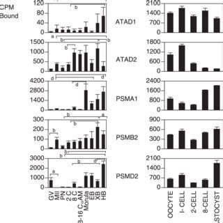 Temporal Expression Patterns Of MRNAs Encoding Proteins Related To The