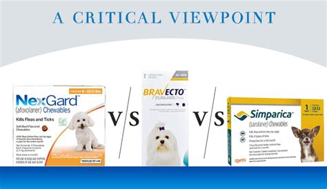 Nexgard Vs Bravecto Vs Simparica A Critical Viewpoint