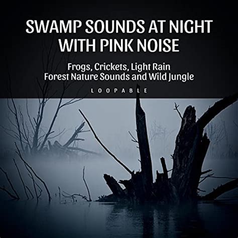 Amazon Swamp Sounds At Night With Pink Noise Frogs Crickets