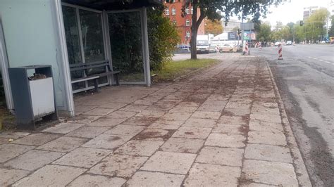 Remont Chodnika Przy Ul Monte Cassino Przystanek Biblioteka