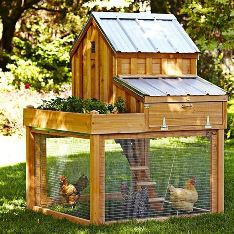 Favorites Backyard Chicken Coops For Small Flocks Gardenista Artofit