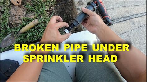 HOW TO REPLACE BROKEN PIPE UNDER SPRINKLER HEAD YouTube