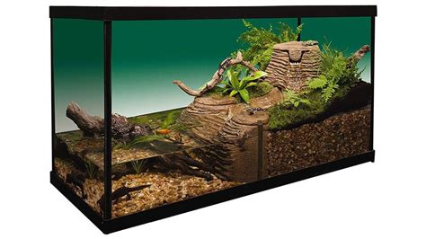 Best Turtle Aquariums 2023 Set Up A Perfect Turtle Tank PetsRadar