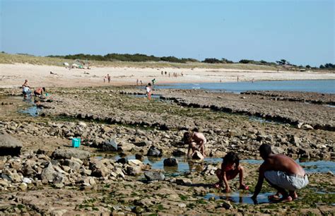 Plage De Montamer Beach Sainte Marie De Ré Destination Ile De Ré