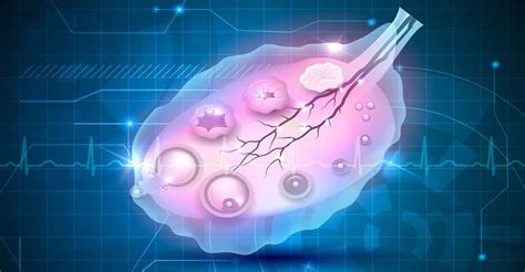 Production des spermatozoïdes chez l homme Dossier