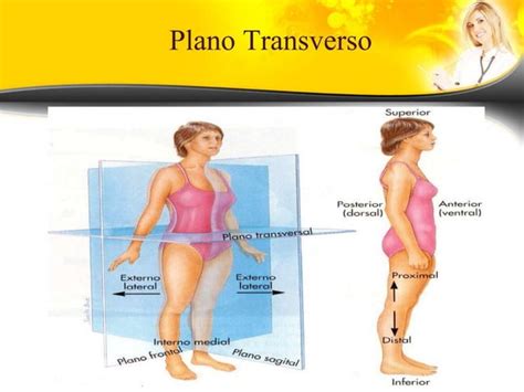 Posiciones Planos Regiones Y Cavidades Anatomicas Pptx