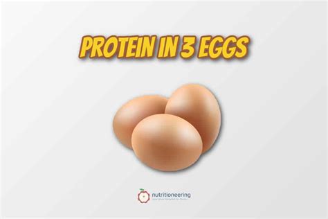 How Much Protein In 3 Eggs Whole Scrambled Or Boiled