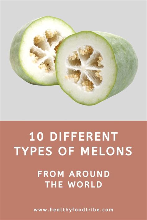 10 Most Popular Types of Melons From Around the World