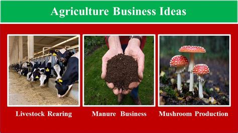 25 Profitable Agriculture Business Ideas With Low Investment