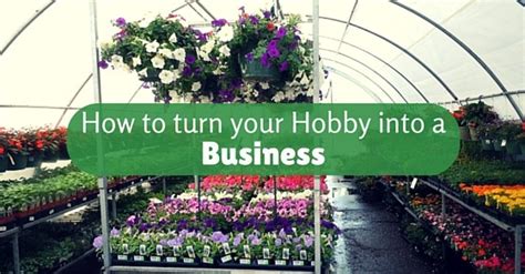 How To Turn Your Hobby Into A Business Successful Tips Wisestep