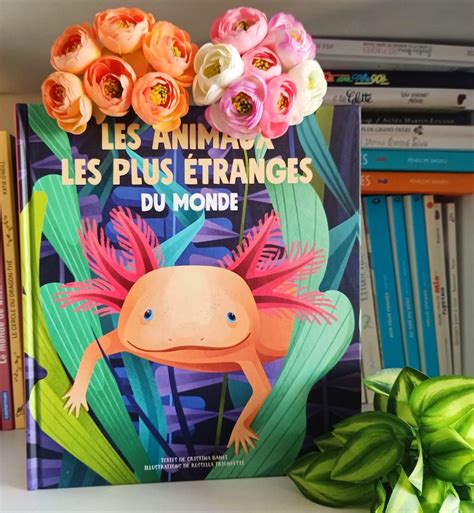 Les Animaux Les Plus Etranges Du Monde Liyah Fr Livre Enfant